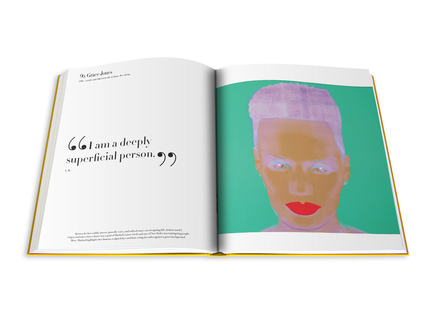 Andy Warhol: The Impossible Collection - Assouline