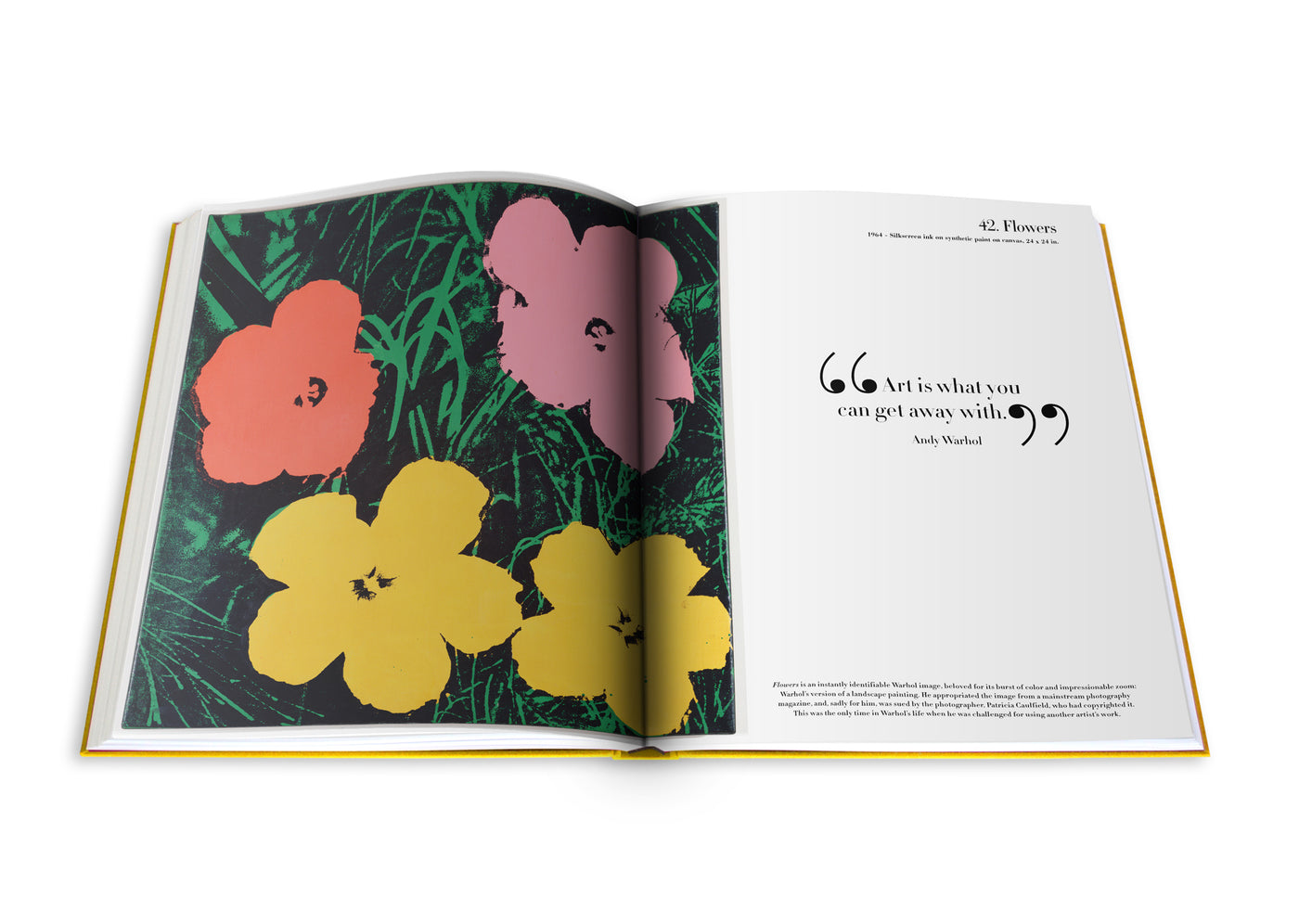 Andy Warhol: The Impossible Collection - Assouline