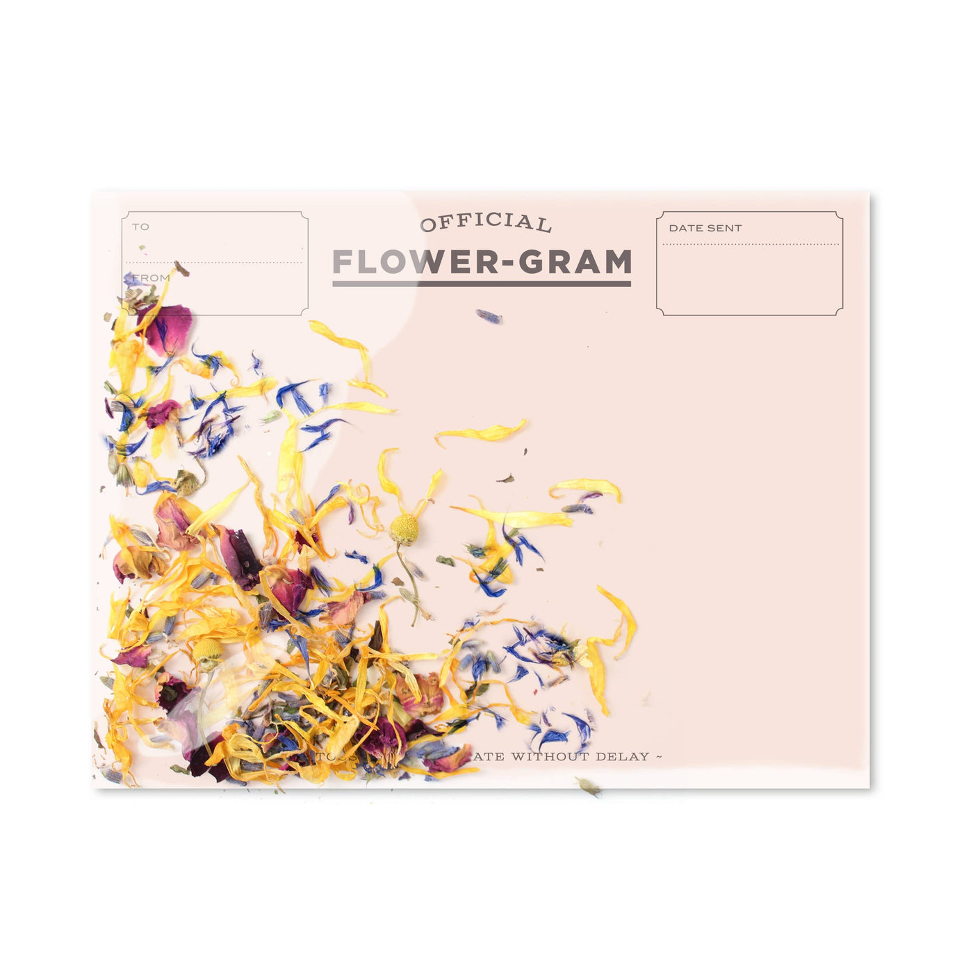 Flowergram - Wildflowers + Mint