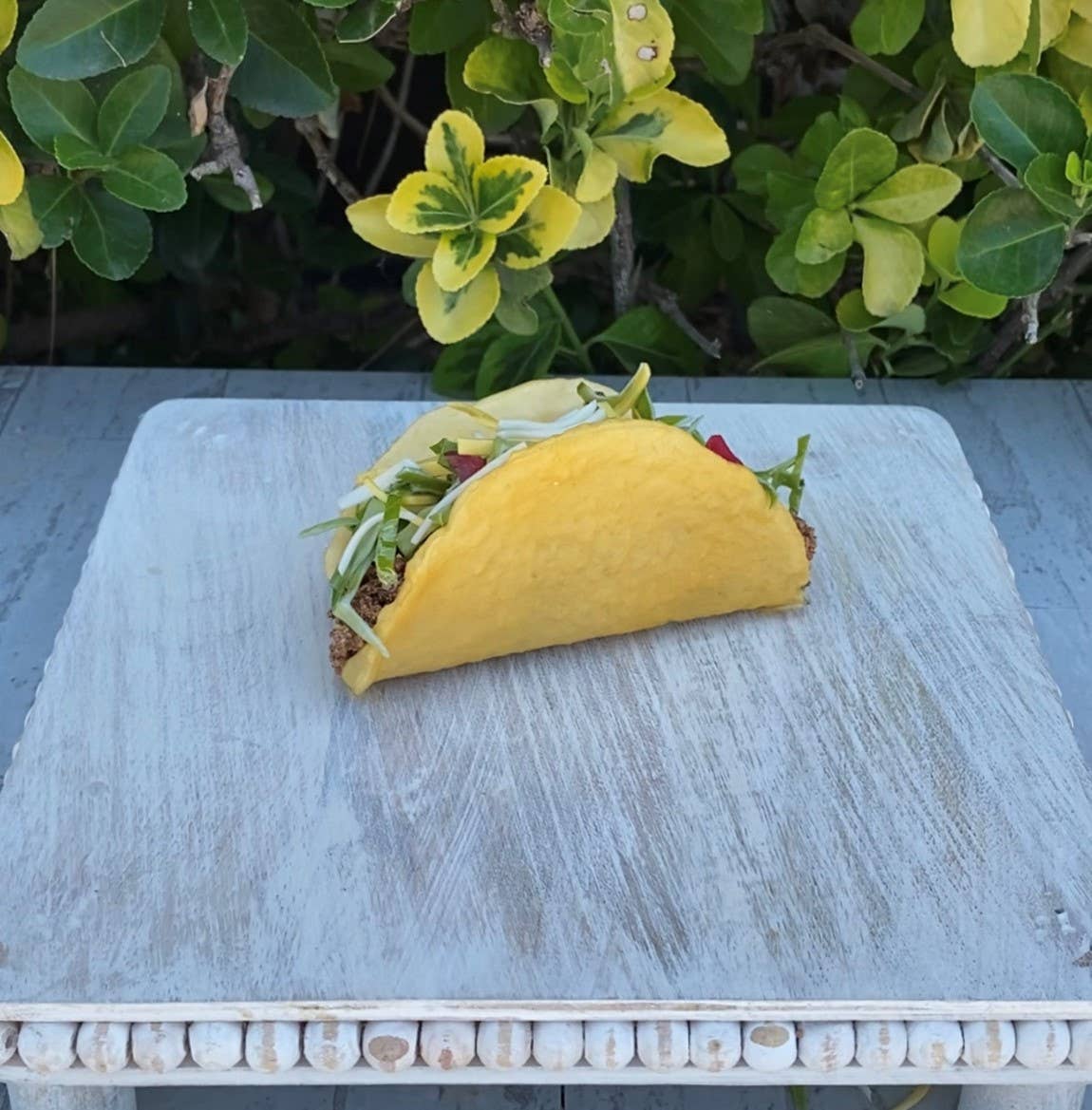 Fake Taco