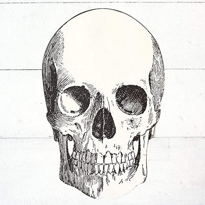 Die Cut Skull Placemat