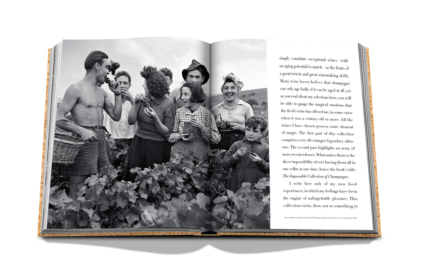 The Impossible Collection of Champagne - Assouline