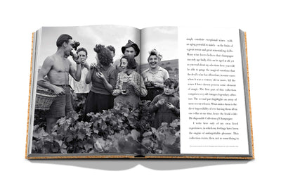 The Impossible Collection of Champagne - Assouline