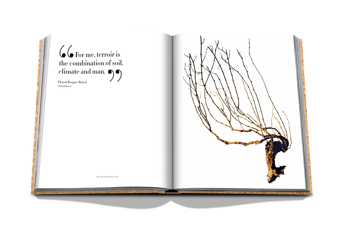 The Impossible Collection of Champagne - Assouline