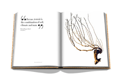 The Impossible Collection of Champagne - Assouline