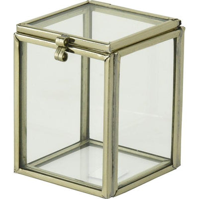 Champagne Cork Safe