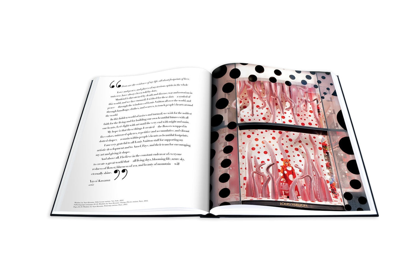 Louis Vuitton Windows [Book]