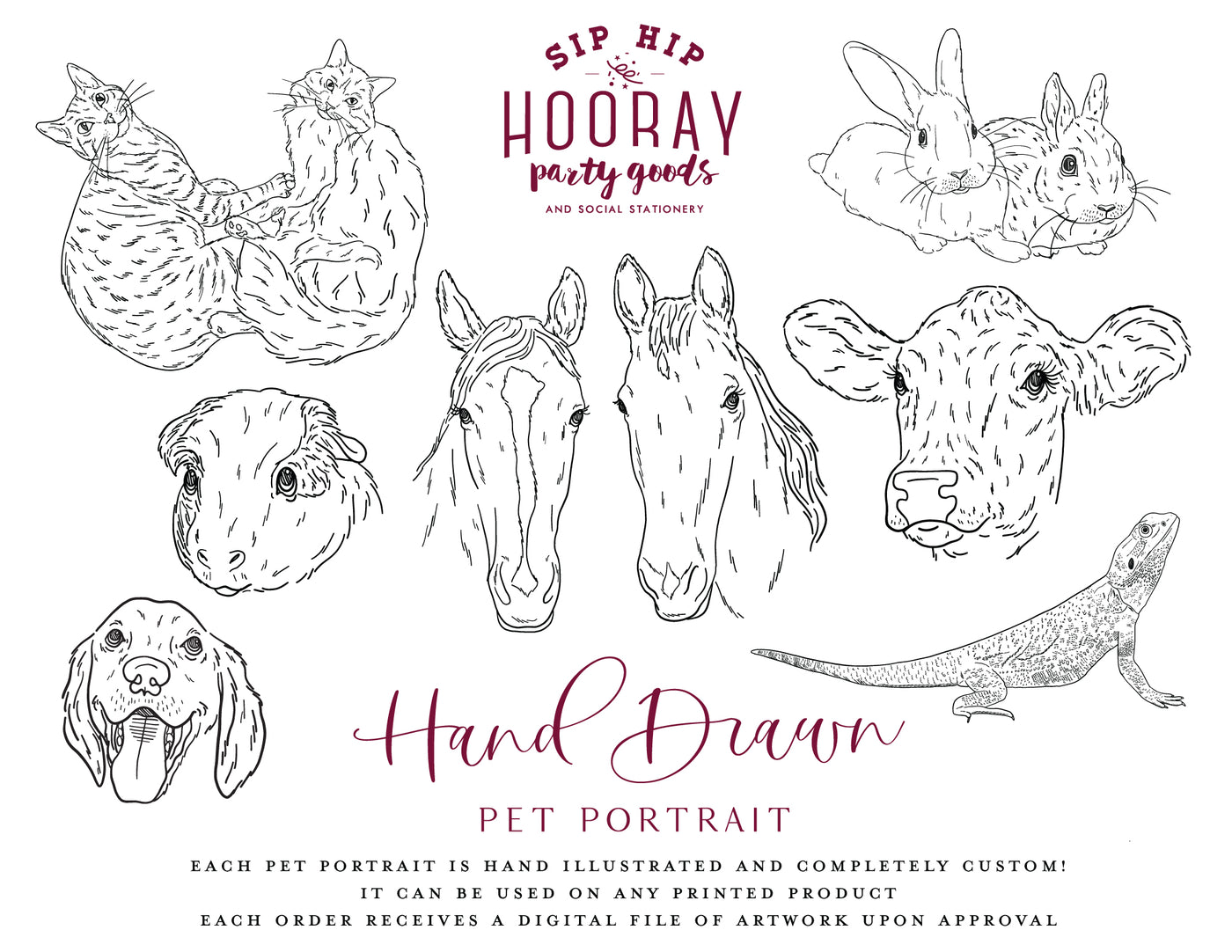 Hand-Drawn Pet Portrait