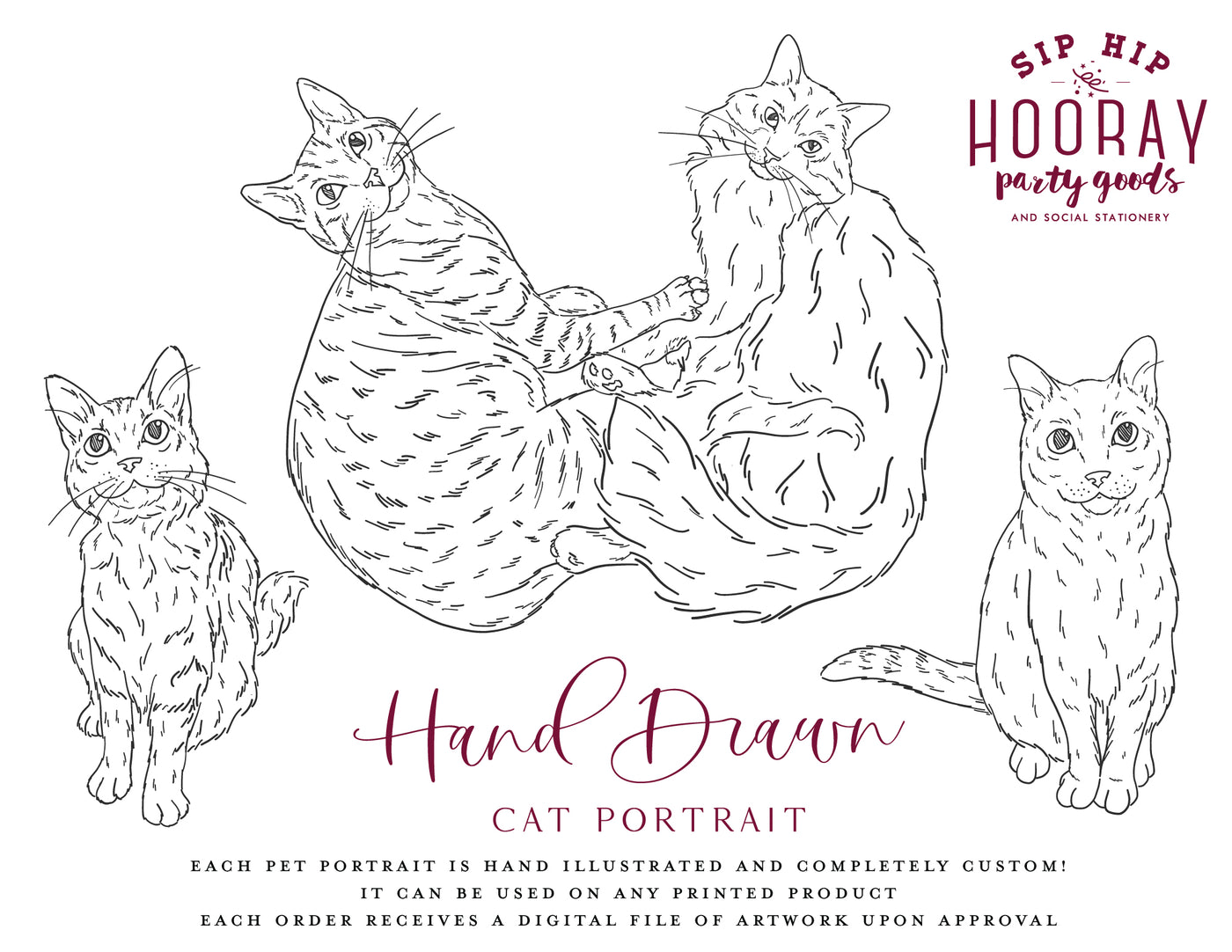 Hand-Drawn Cat Portrait