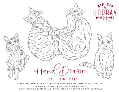 Hand-Drawn Cat Portrait