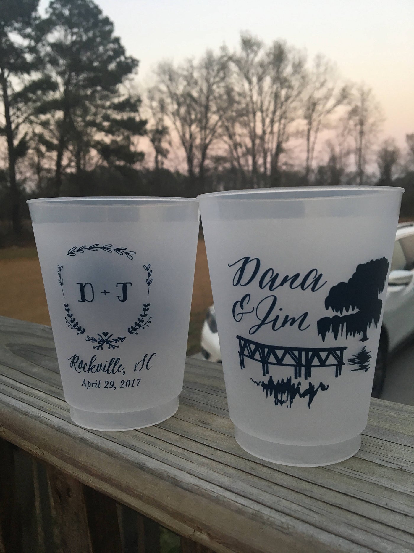 Let the Good Times Roll Texas Frosted Cups #1508