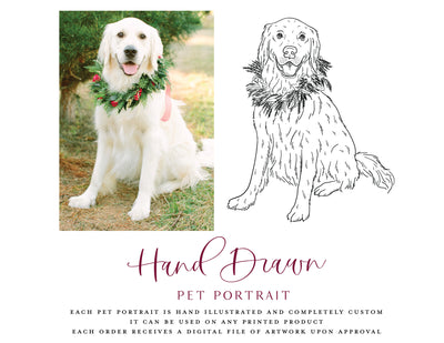 Hand-Drawn Pet Portrait