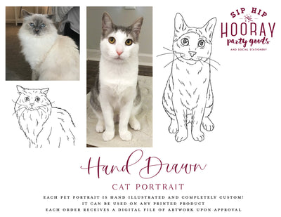 Hand-Drawn Cat Portrait