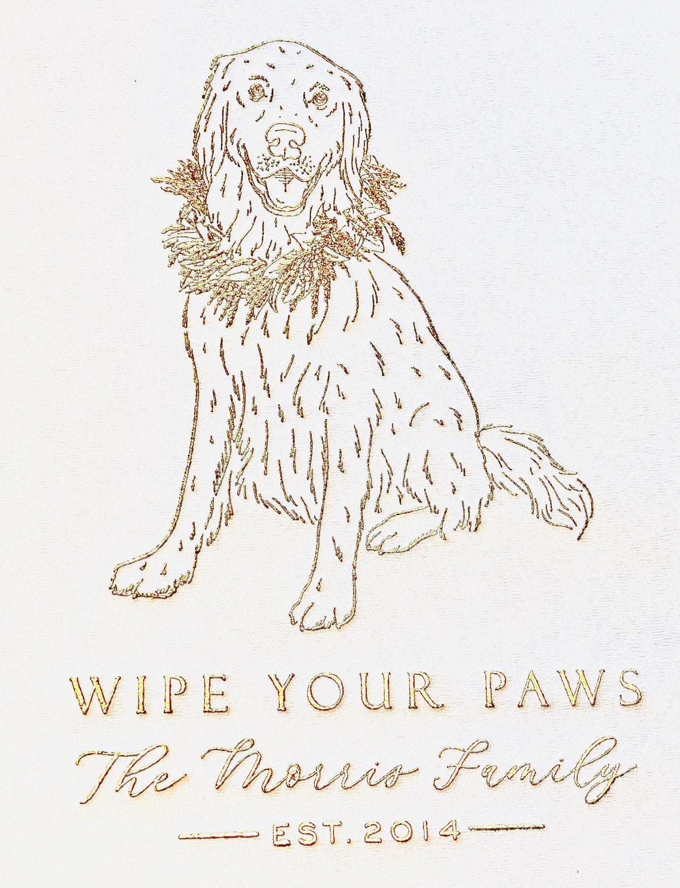 Wipe Your Paws Pet Guest Towel Design