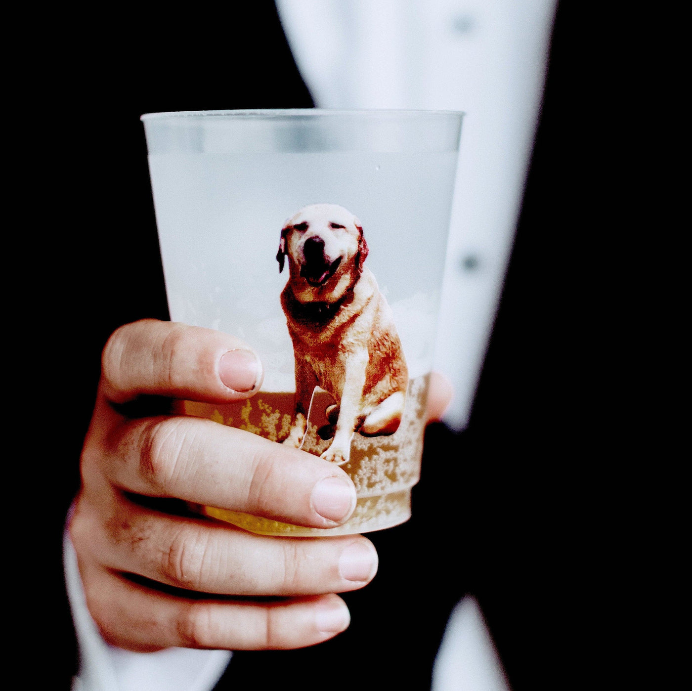 Full Color Pet Photo Frosted Cups