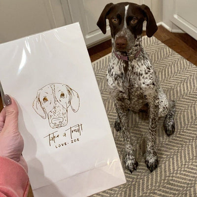 Take a Treat | Pet Drawing Treat Bag