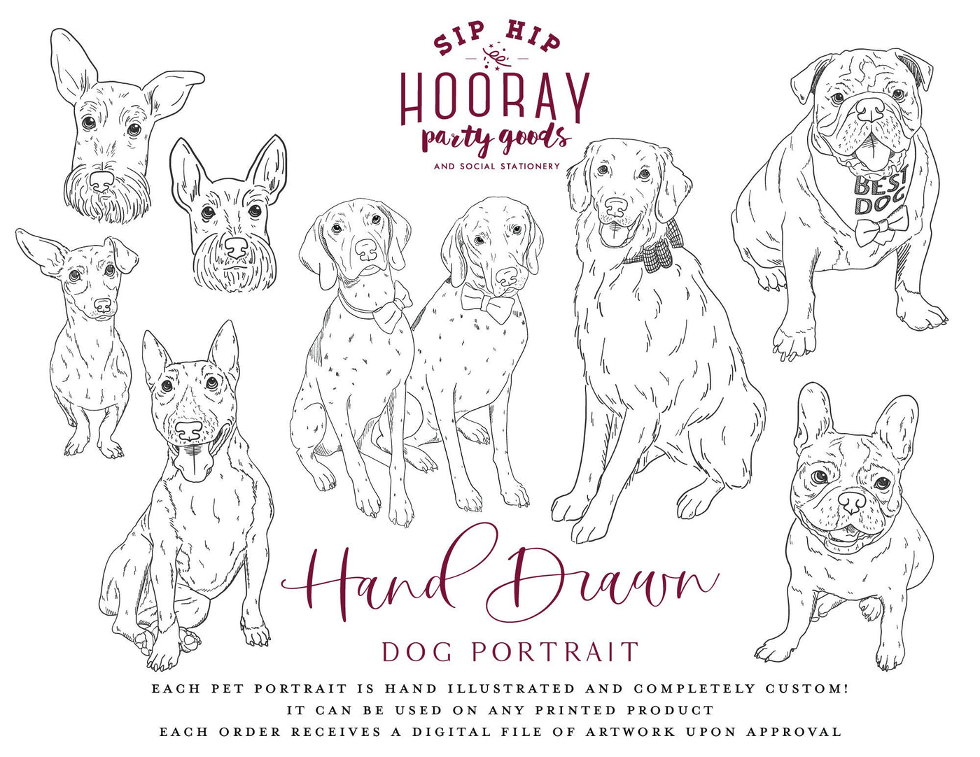 Hand-Drawn Dog Portrait