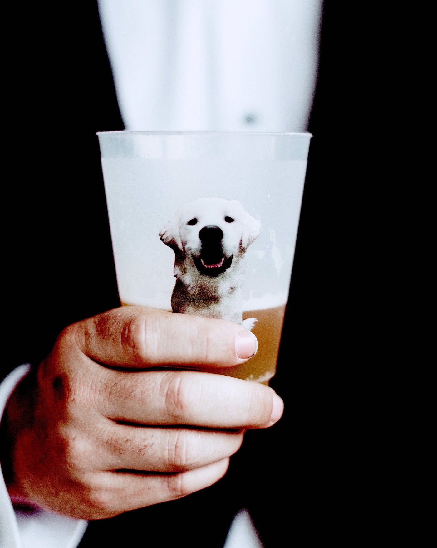 Full Color Dog Photo Frosted Cups