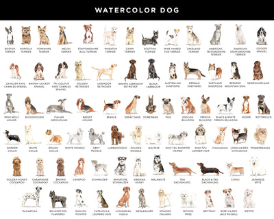 Watercolor Dog Full Color Beverage Napkins